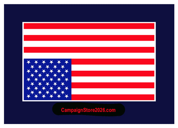 America In Distress Pin