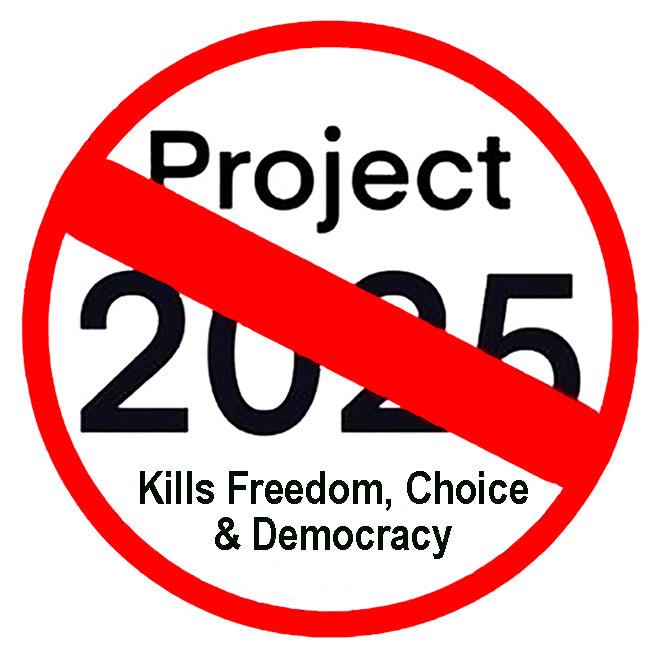 No To Project 2025 Campaign Pin