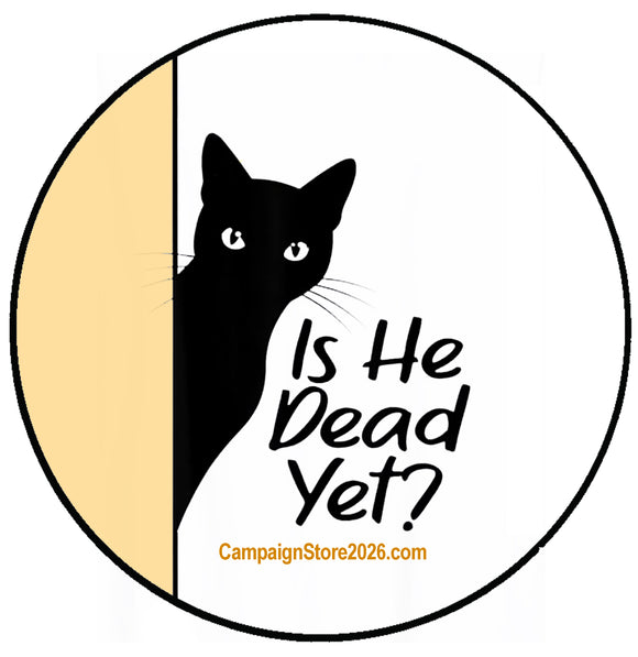 Kitty Wants To Know Pin