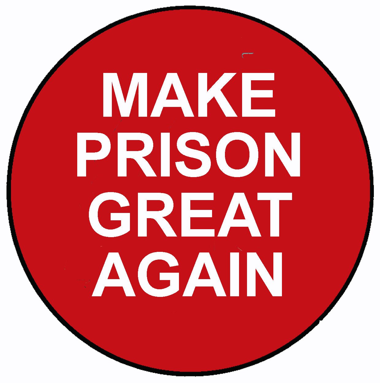 Make Prison Great Again Pin