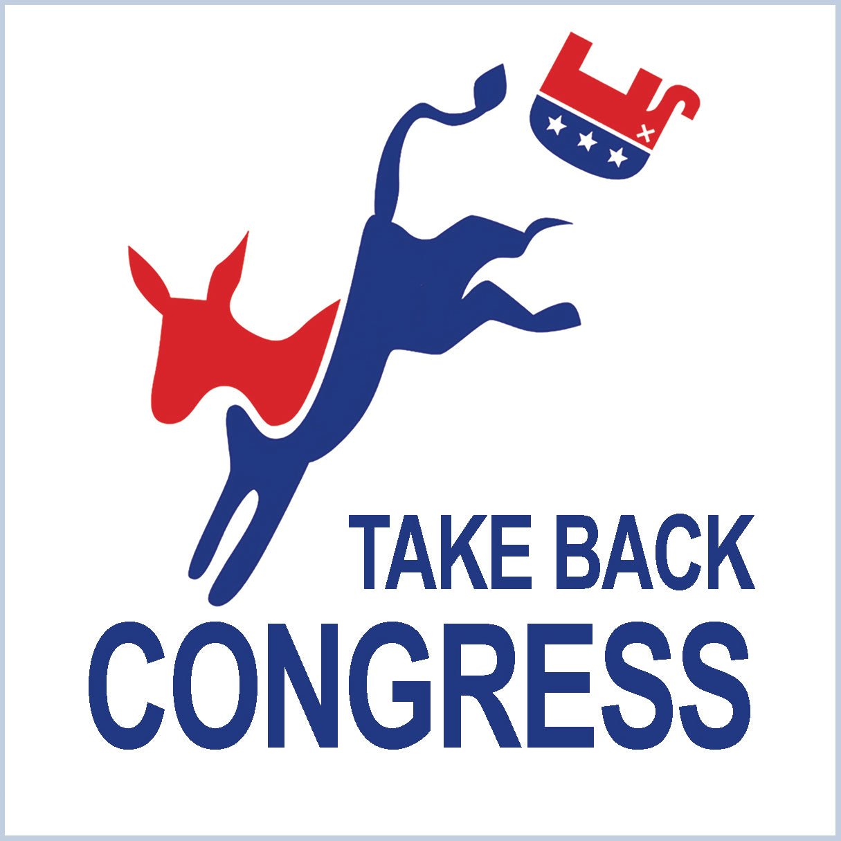 Take Back Congress Tee