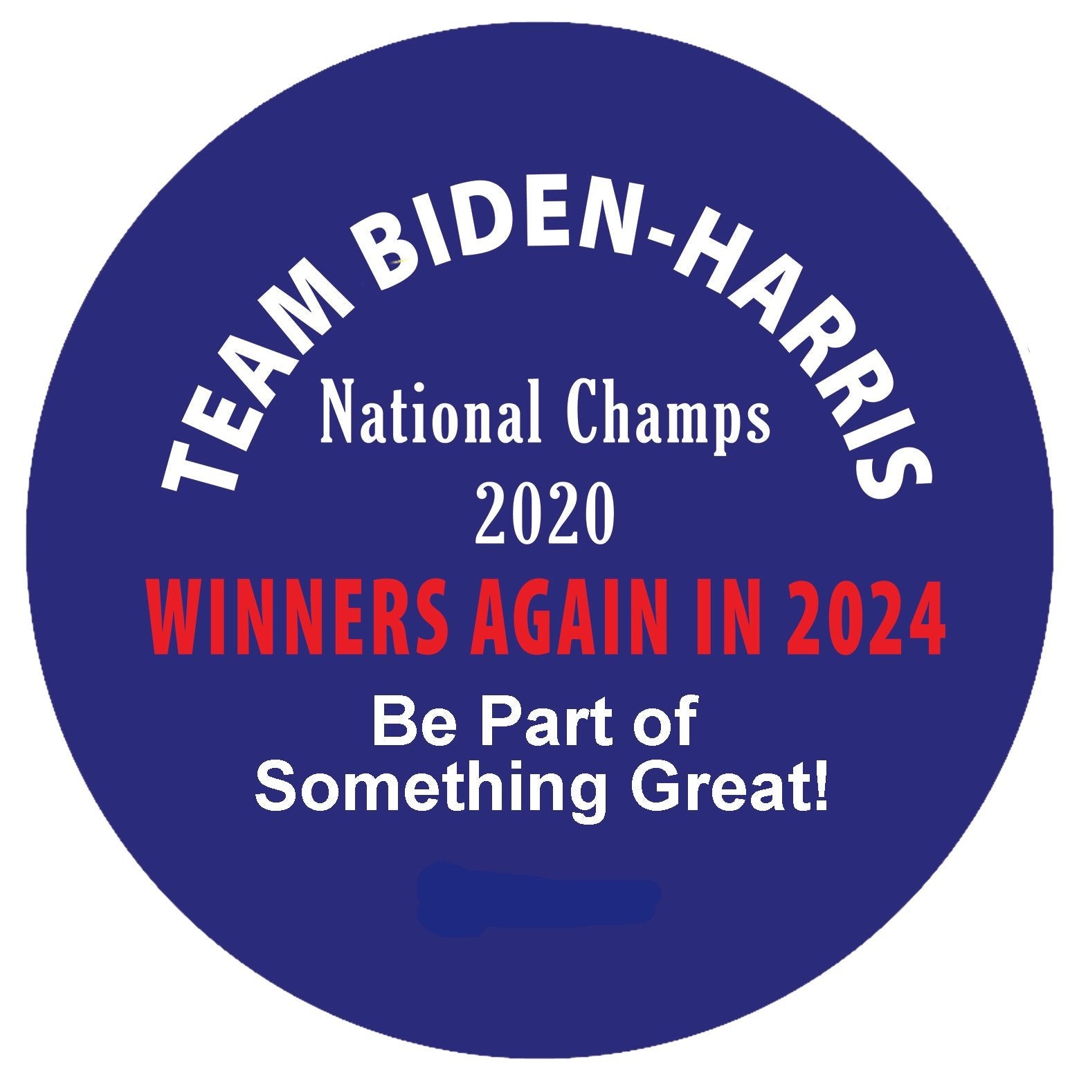 Team Biden Campaign Pin