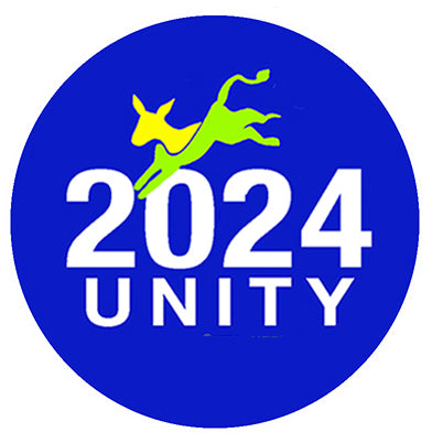 Unity Pin