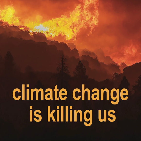 Climate Change Is Killing Us Magnet