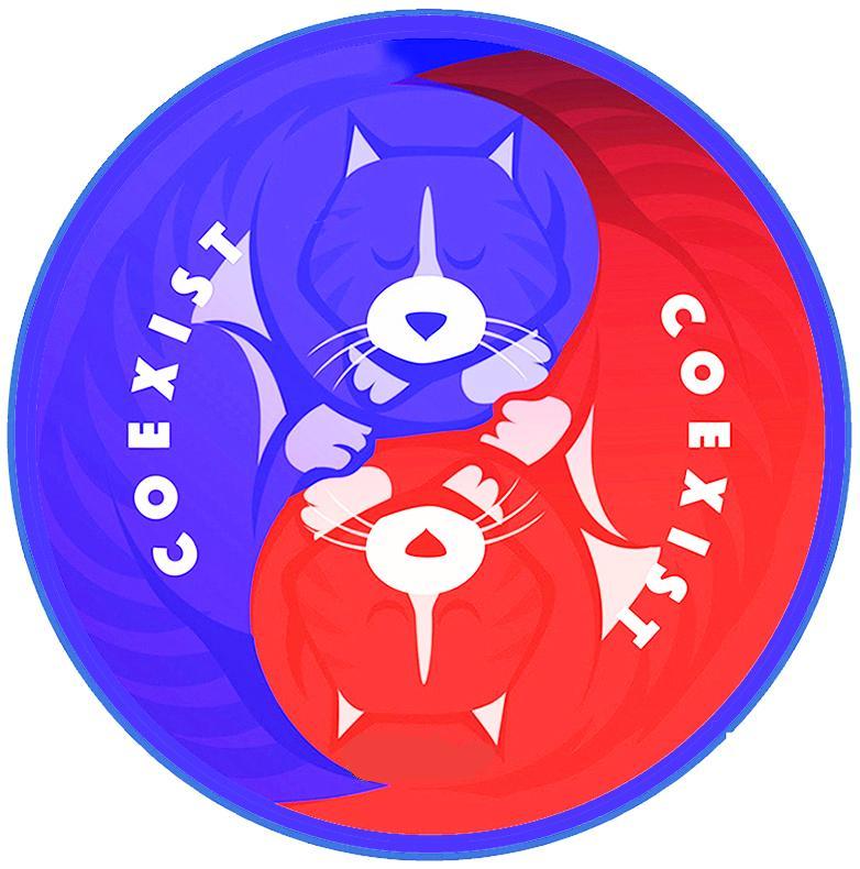 Coexist Pin