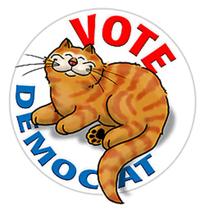 Vote DemoCat Pin