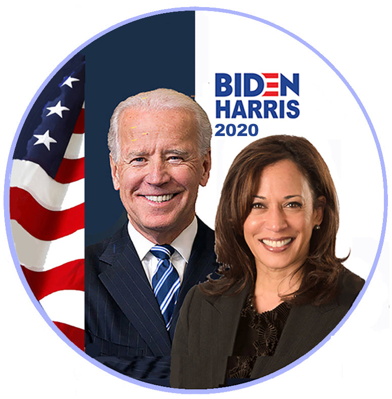 Biden-Harris Team Pin