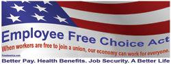Employee Free Choice Act Bumper Sticker