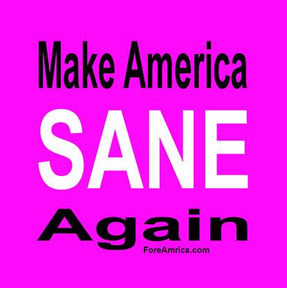 Make America Sane Again