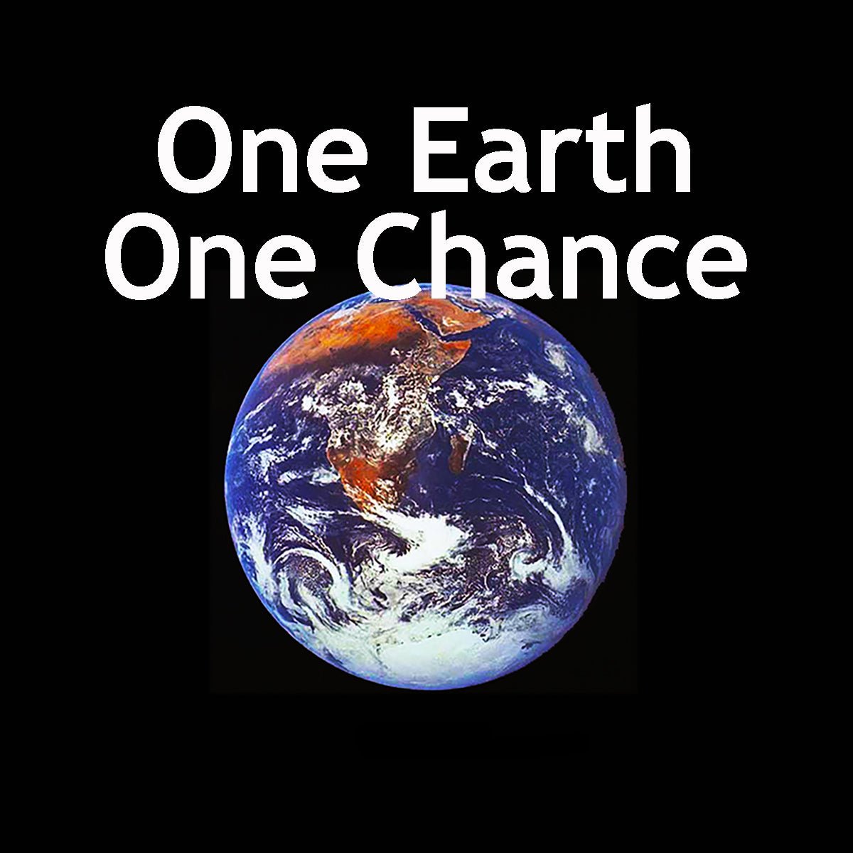 One Earth One Chance Bumper Sticker