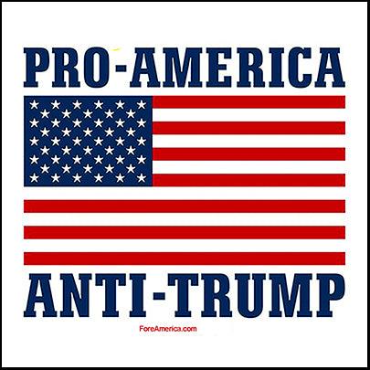 Pro-America, Anti-Trump Magnet