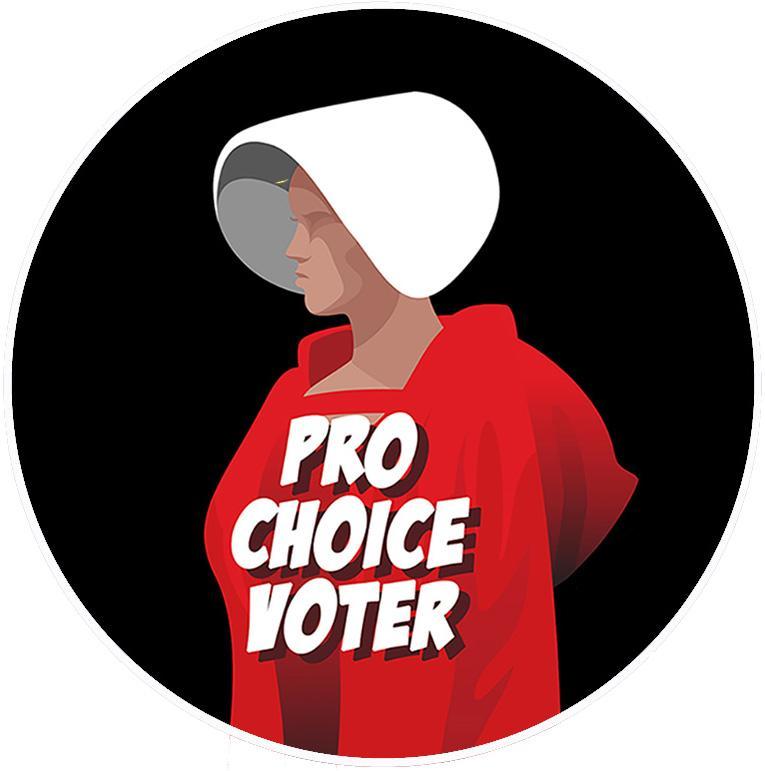 Pro Choice Voter Pin