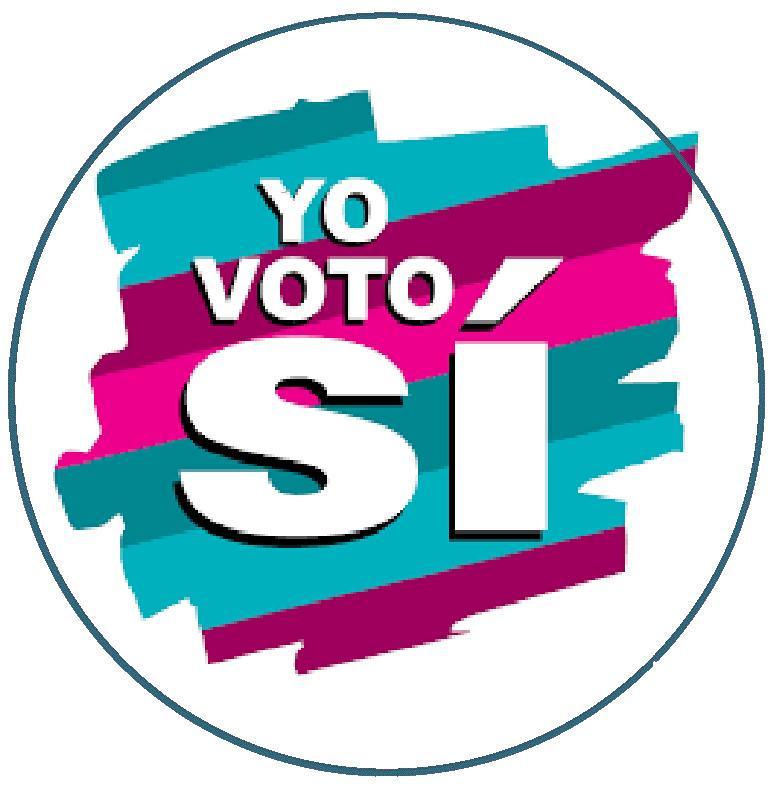 Yo Voto! Pin